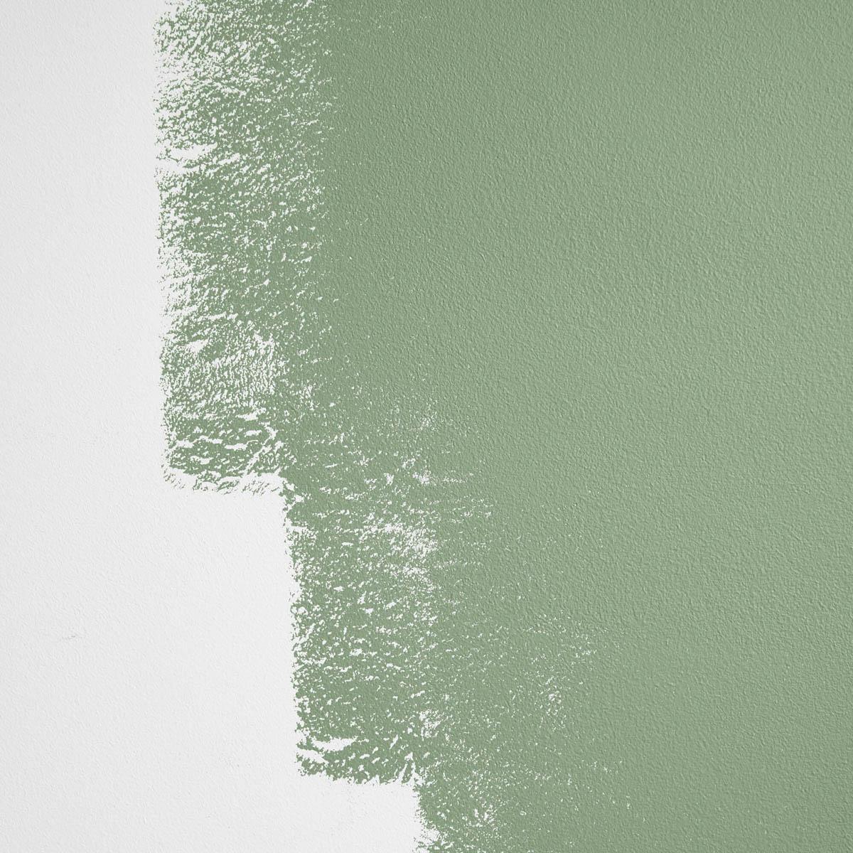Drive-Thru Safari - Soft Green That Skews Warm Paint